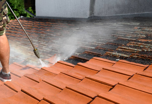 Best Pressure Washing Siding  in Hialeah, FL