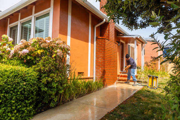 Best Pressure Washing Near Me  in Hialeah, FL